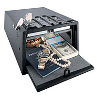 GunVault Mini Standard